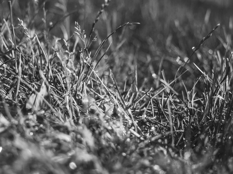 sudoku fun puzzle screenshot 4